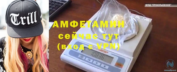 индика Мегион