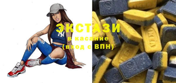 индика Мегион