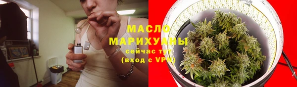 индика Мегион