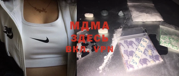 индика Мегион