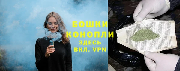 индика Мегион