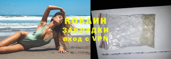 индика Мегион