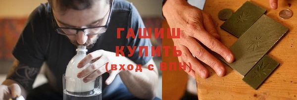 индика Мегион