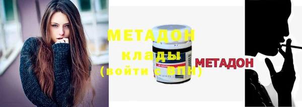 индика Мегион