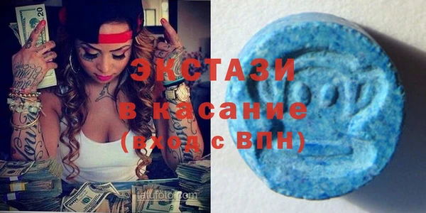 индика Мегион