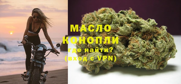 индика Мегион