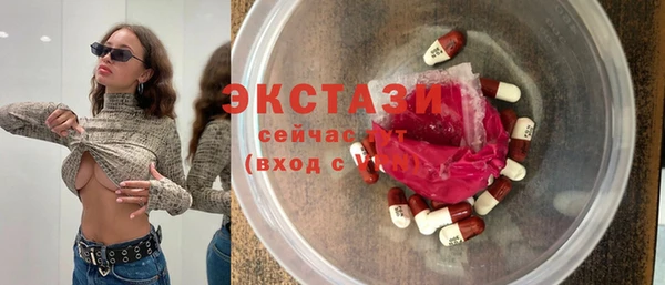 индика Мегион