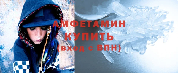 индика Мегион
