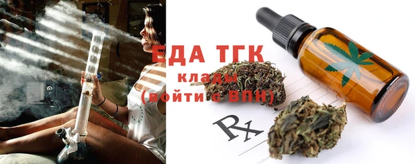 индика Мегион